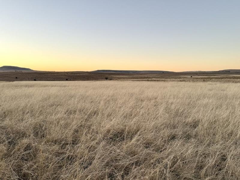 0 Bedroom Property for Sale in Warden Free State